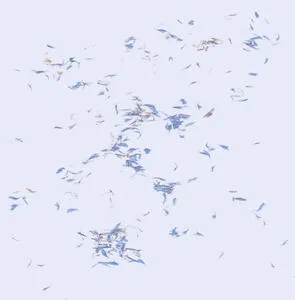 Tumbling towards a wall